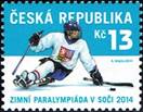 czech-14-para-hockey